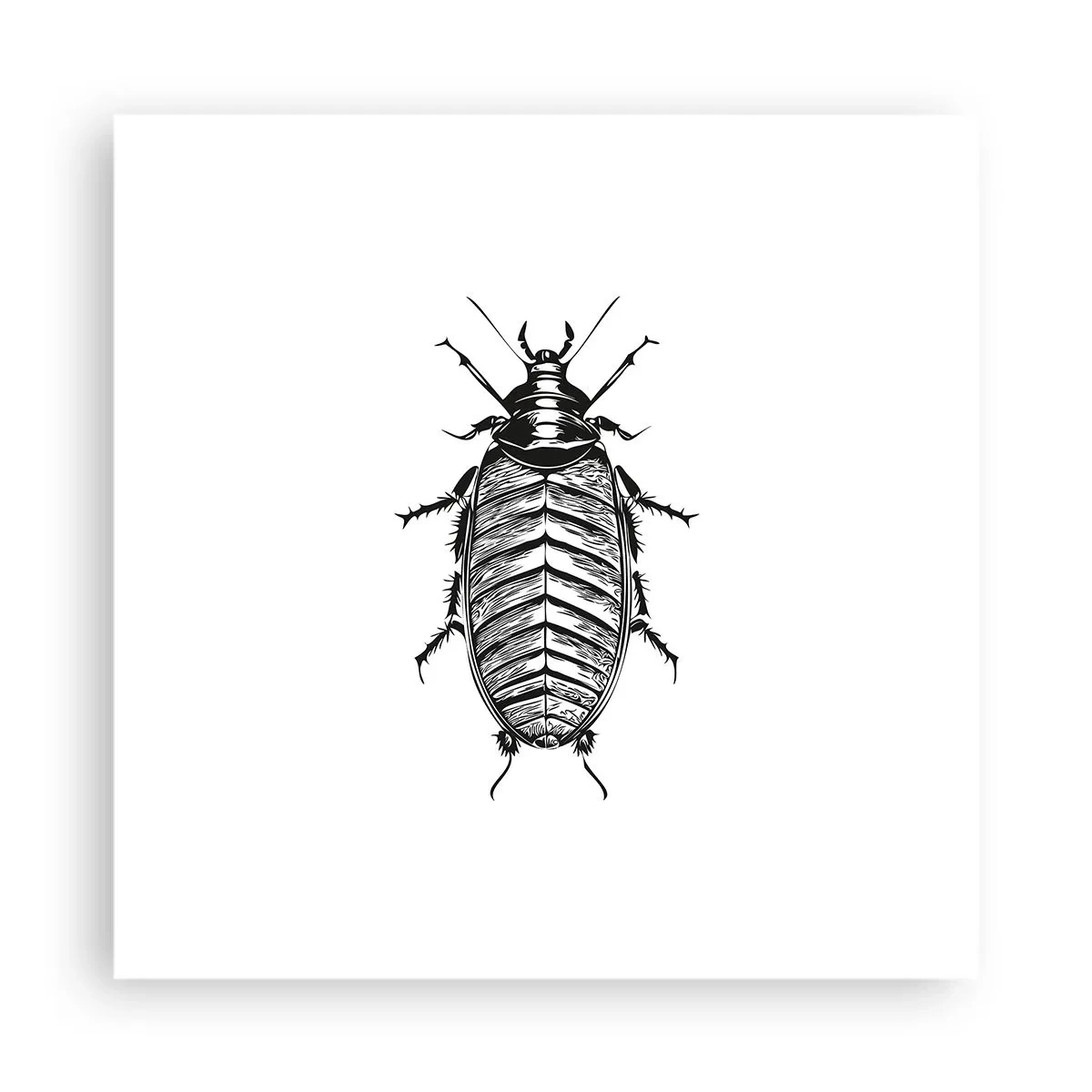 Póster - ¡Qué espécimen! - 40x40 cm