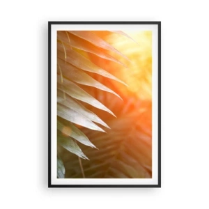 Póster en marco negro - Mañana en la selva - 61x91 cm