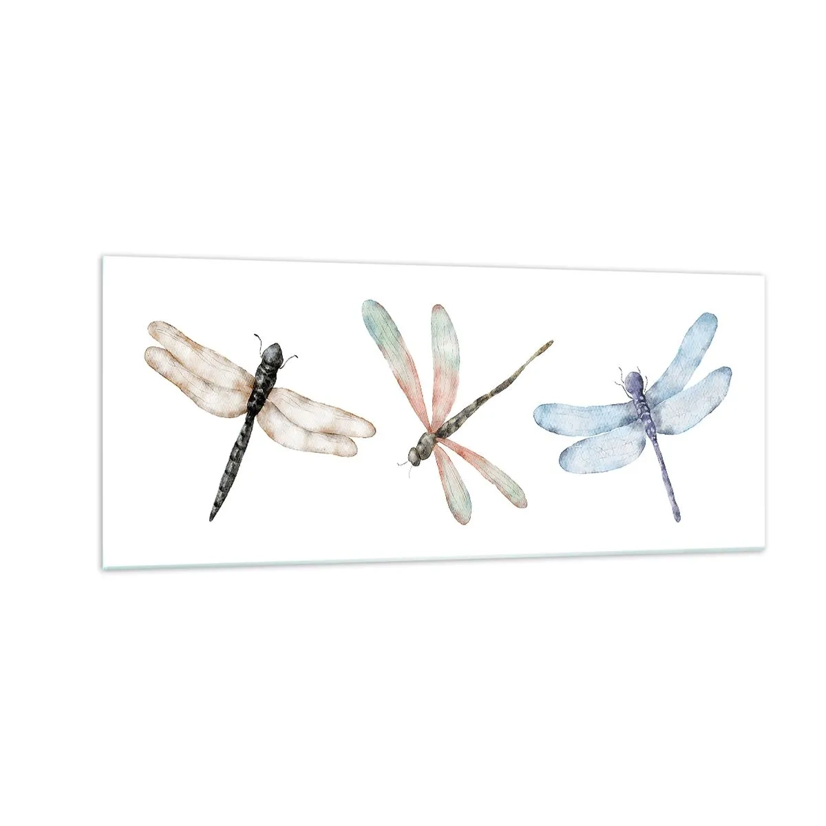 Cuadro sobre vidrio - Impresiones sobre Vidrio - Libélulas ingrávidas - 100x40 cm