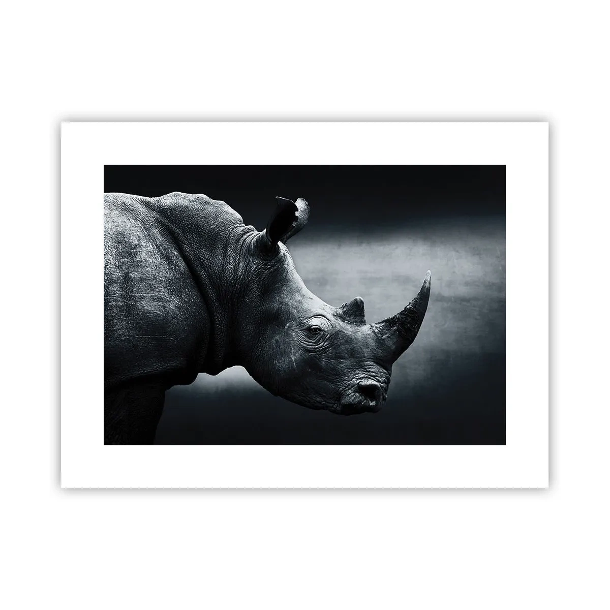 Póster - Perfil derecho - 40x30 cm