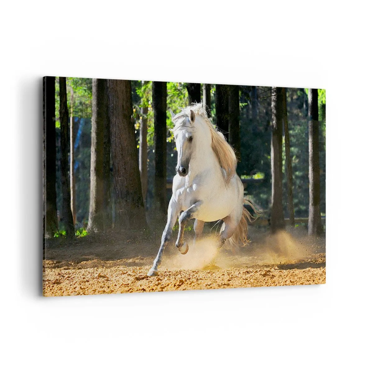 Cuadro sobre lienzo - Impresión de Imagen - Un caballo blanco galopando a través de un claro del bosque. - 120x80cm - Como en una novela de fantasía - Decoración de pared moderna para salón y dormitorio ARTTOR