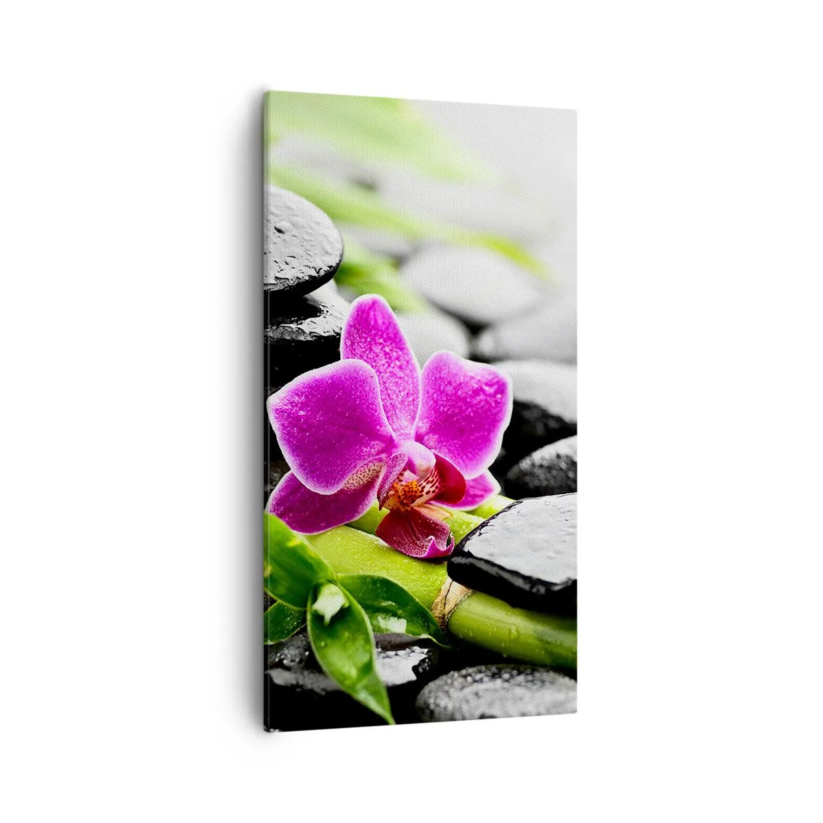 Cuadro sobre lienzo - Impresión de Imagen - En equilibrio pacífico - 55x100 cm