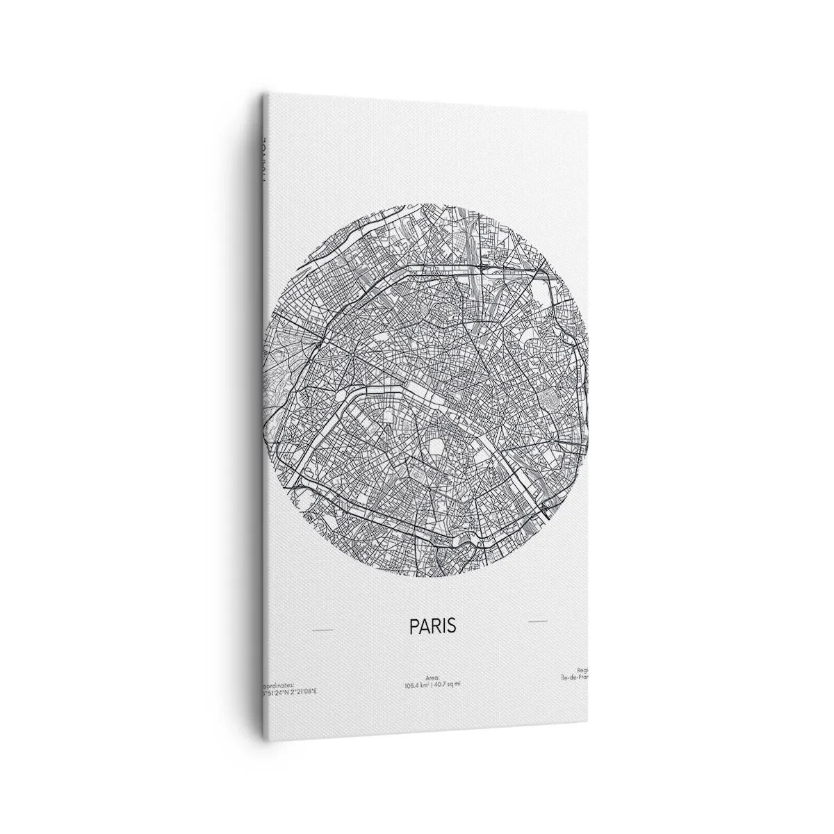 Cuadro sobre lienzo - Impresión de Imagen - Anatomía de París - 45x80 cm