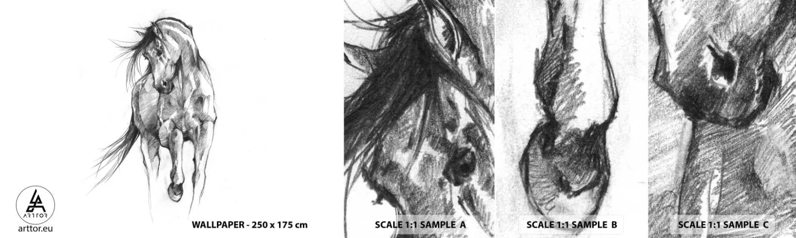 Muestra de fotomural autoadhesivo Deluxe Sticker - En un elegante trote - Caballo, Gráficos, animales - 100x30 cm