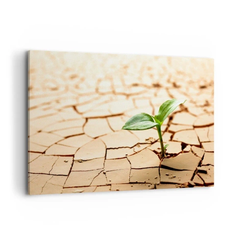 Cuadro sobre lienzo - Impresión de Imagen - Una planta verde que crece en tierra seca y agrietada. - 120x80cm - El poder indomable de la vida - Decoración de pared moderna para salón y dormitorio ARTTOR