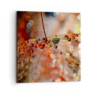 Cuadro sobre lienzo - Impresión de Imagen - En una tela de araña - 70x70 cm