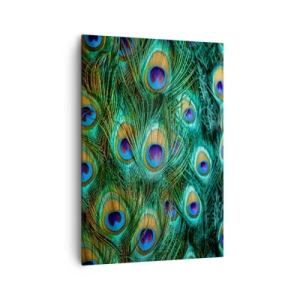 Cuadro sobre lienzo - Impresión de Imagen - Detalles de plumas de pavo real en ricos colores. - 70x100cm - Mirada de pavo real - Decoración de pared moderna para salón y dormitorio ARTTOR