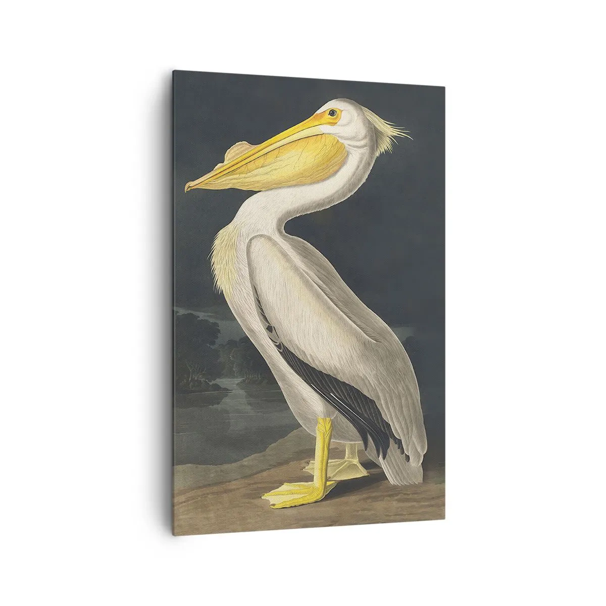 Cuadro sobre lienzo - Impresión de Imagen - Con orgullo - 80x120 cm