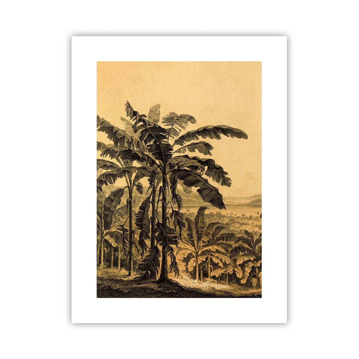 Póster - En un ambiente colonial - 30x40 cm