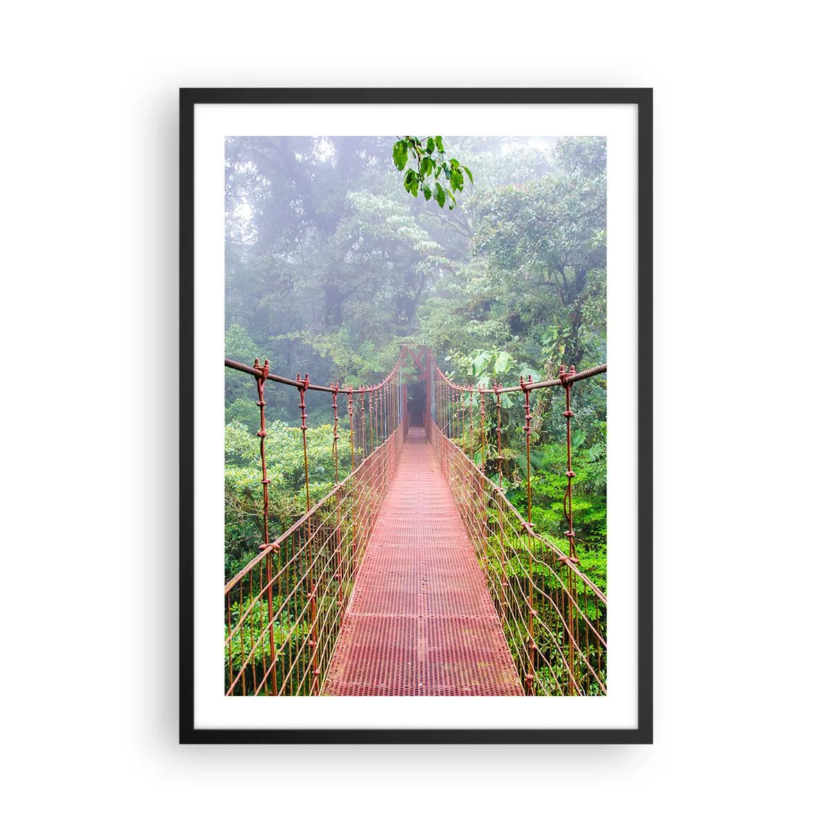 Póster en marco negro - Un puente colgante en un bosque tropical envuelto en niebla. - 50x70cm - Suspendido sobre las copas - Decoración de pared moderna para salón y dormitorio ARTTOR