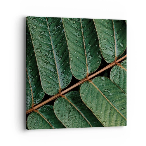 Cuadro sobre lienzo - Impresión de Imagen - En un ritmo verde - 40x40 cm