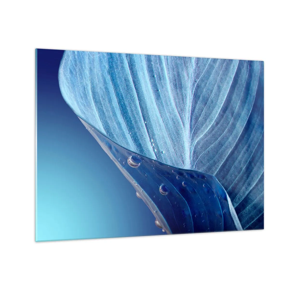 Cuadro sobre vidrio - Impresiones sobre Vidrio - Una hoja en tonos azules con gotas de agua sobre un fondo degradado. - 70x50cm - Gotas ocultas de azul - Decoración de pared moderna para salón y dormitorio ARTTOR