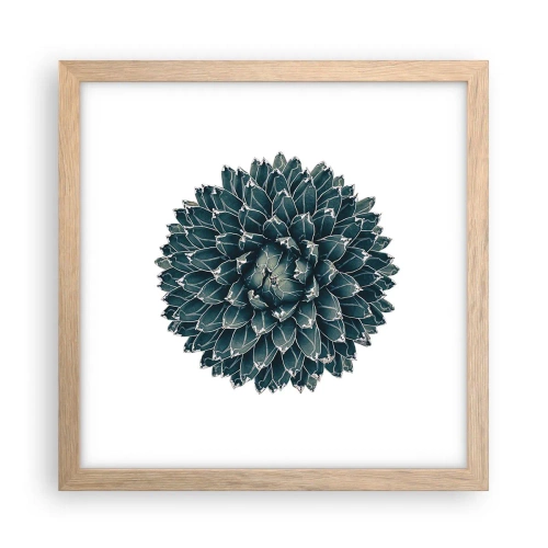 Póster en marco roble claro - Estrella del desierto - 30x30 cm