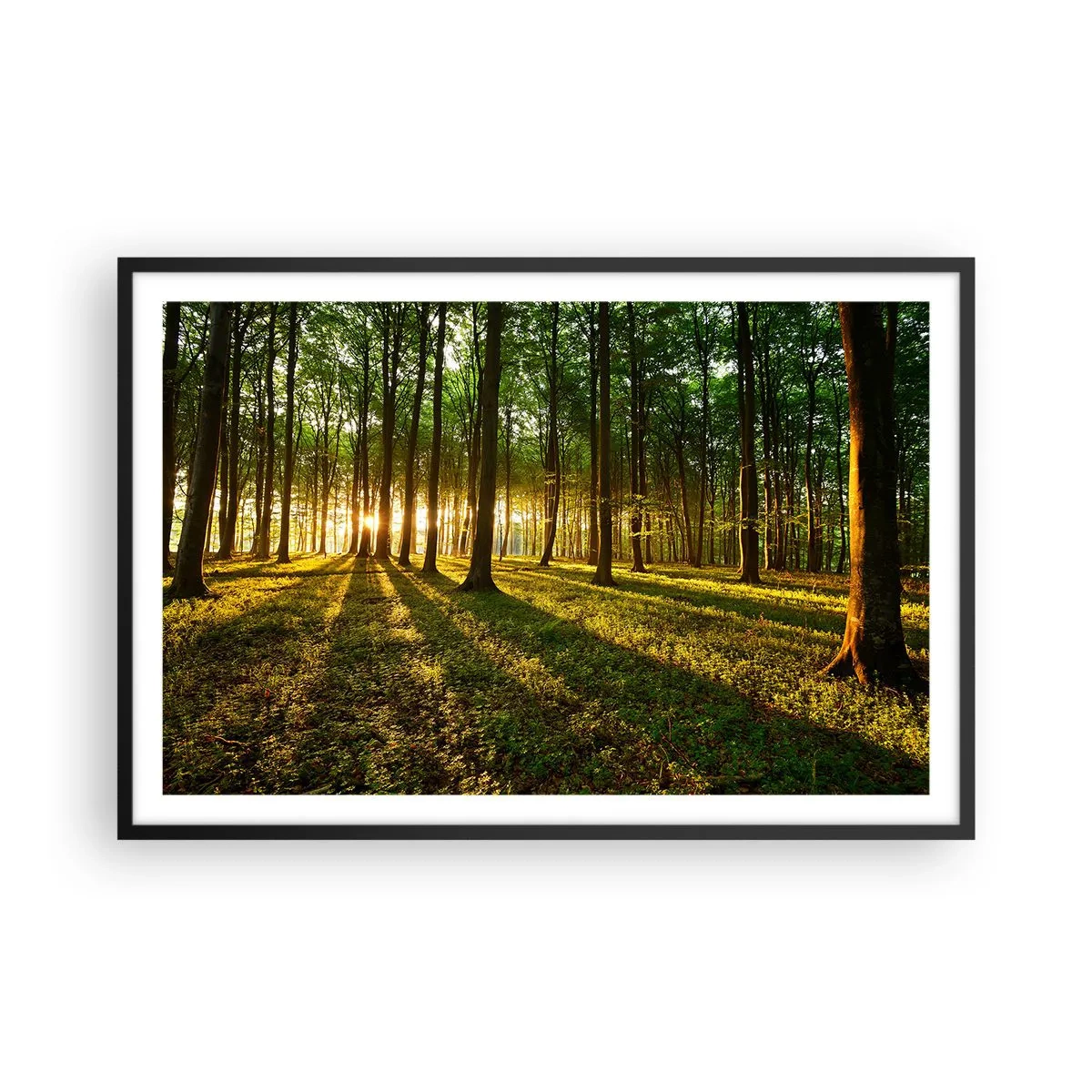 Póster en marco negro - Una fotografía de todos los manantiales - 91x61 cm