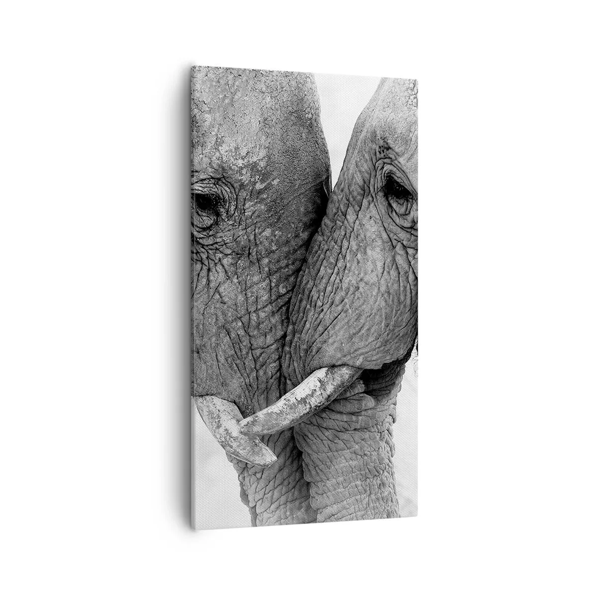 Cuadro sobre lienzo - Impresión de Imagen - Una confesión sincera - 55x100 cm