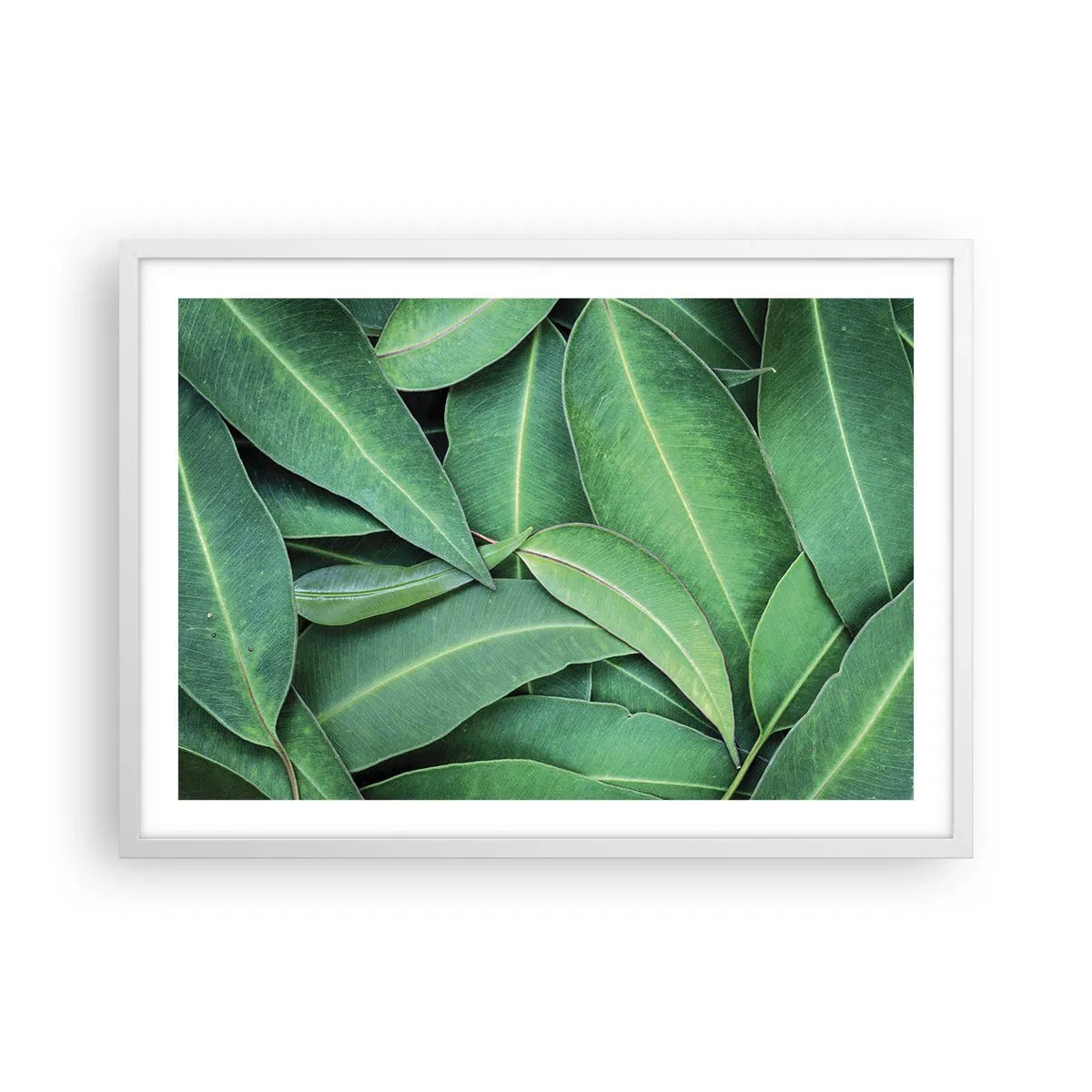 Póster en marco blanco - Jugosidad y frescura - 70x50 cm