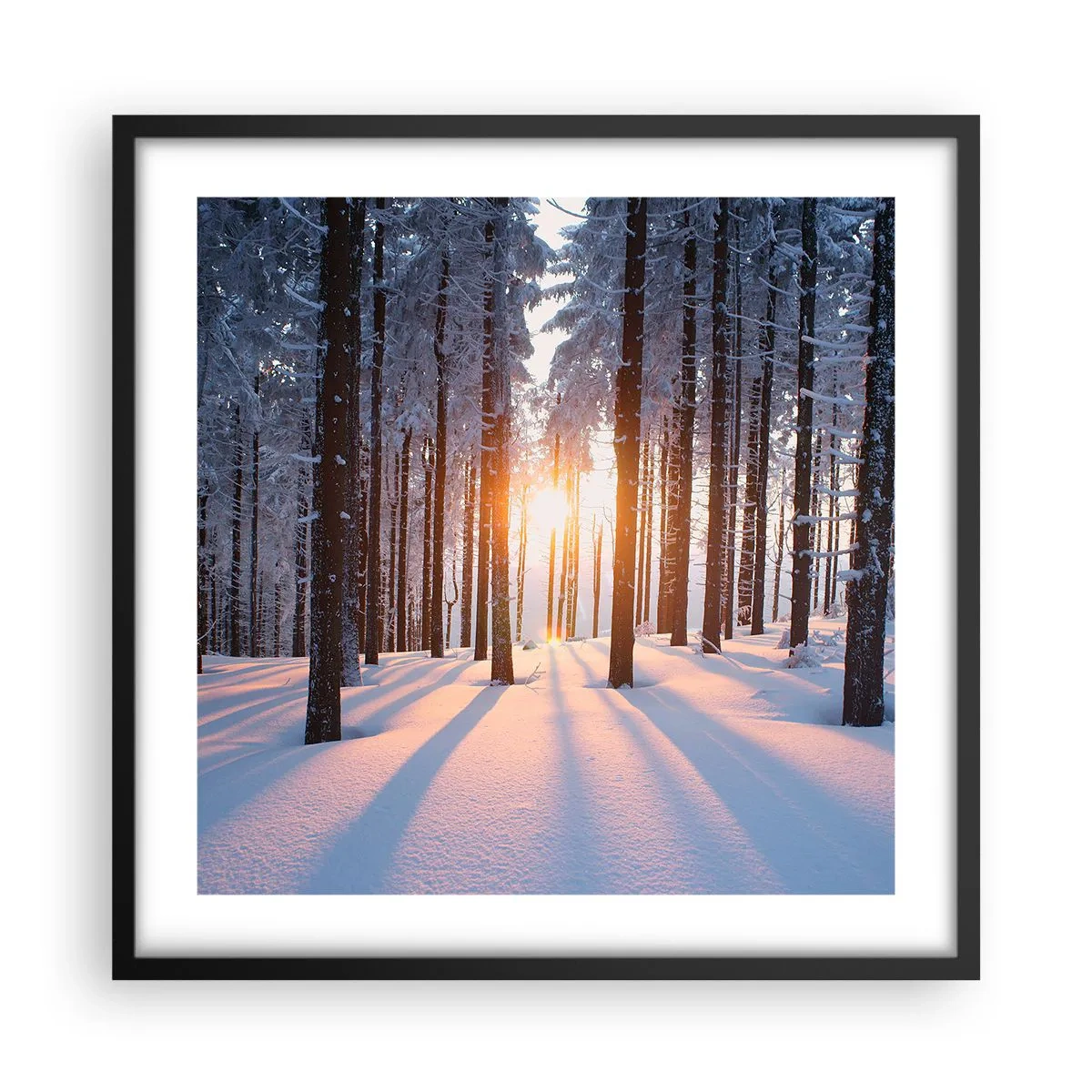 Póster en marco negro - Claramente en blanco y negro - 50x50 cm