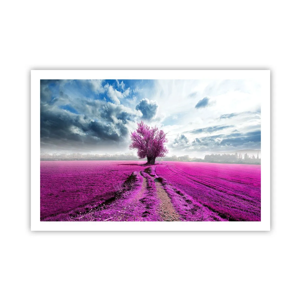 Póster - El brezal - un encanto - 91x61 cm