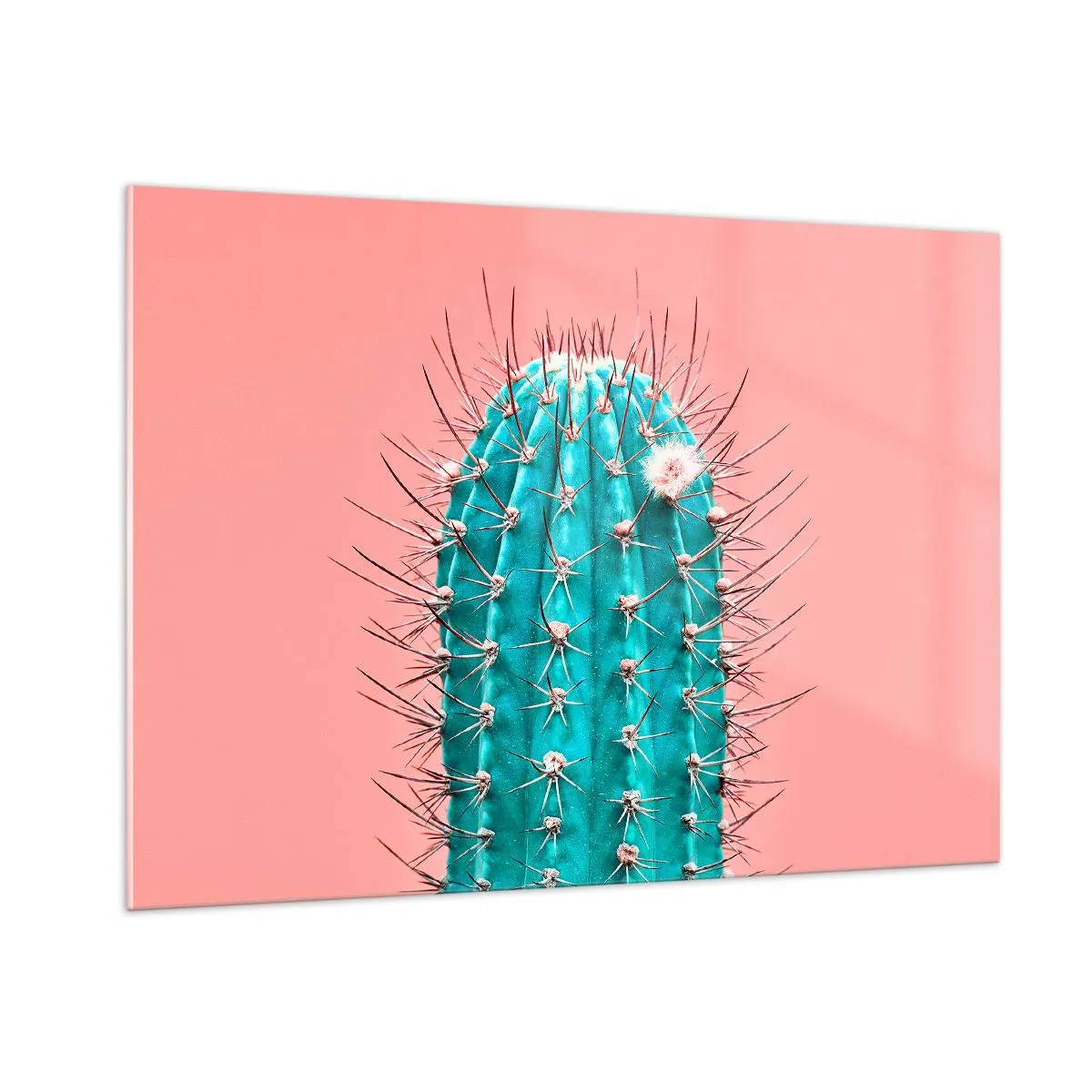 Cuadro sobre vidrio - Impresiones sobre Vidrio - Cactus verde con espinas sobre un fondo rosa - 100x70cm - Se mira, pero no se toca - Decoración de pared moderna para salón y dormitorio ARTTOR