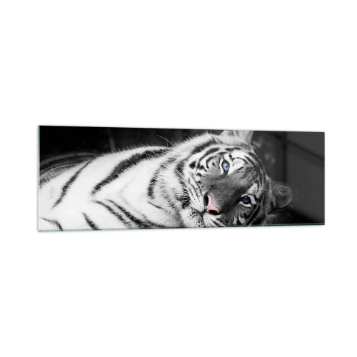 Cuadro sobre vidrio - Impresiones sobre Vidrio - Un tigre blanco representado artísticamente sobre un fondo negro. - 160x50cm - Salvaje y tranquilo - Decoración de pared moderna para salón y dormitorio ARTTOR