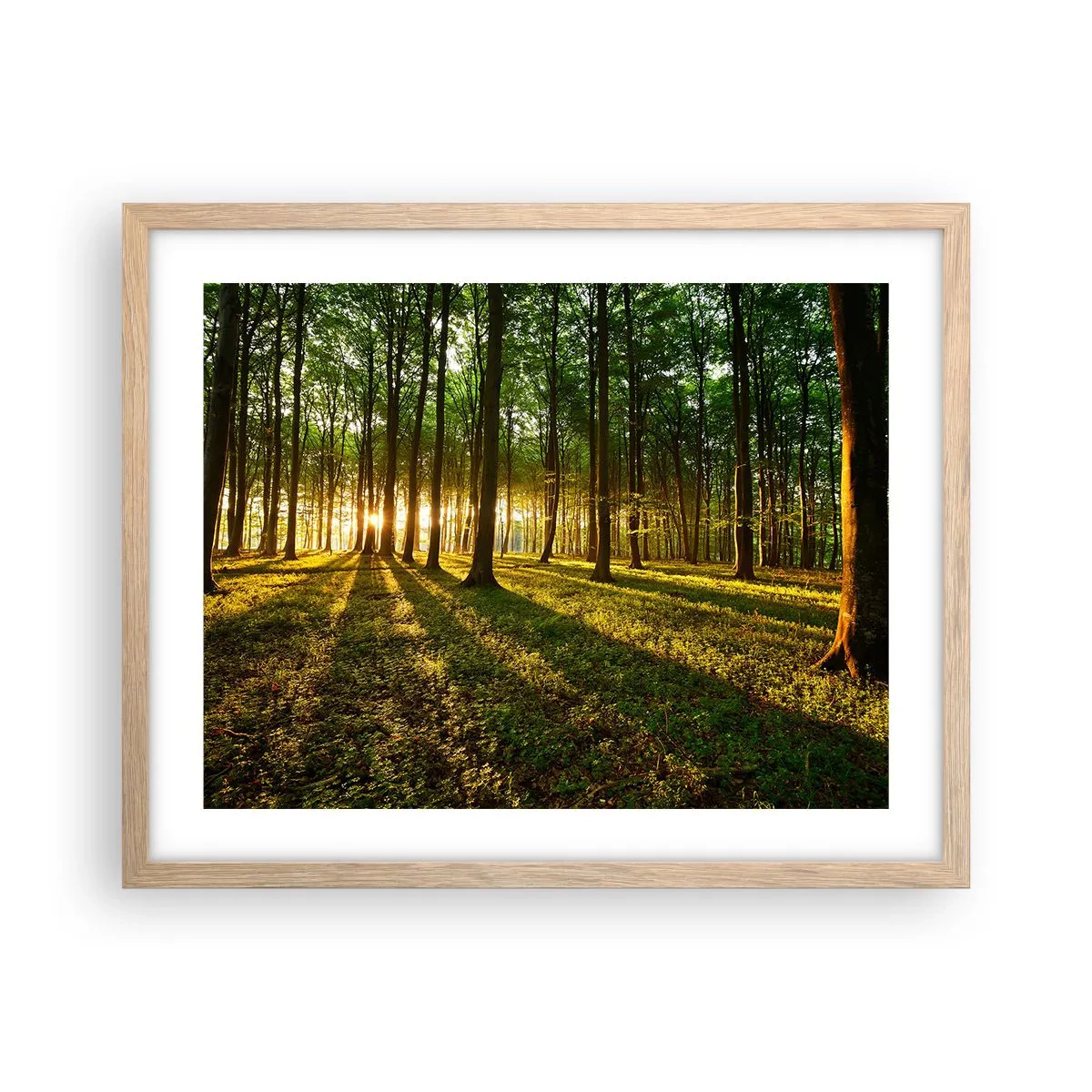 Póster en marco roble claro - Una fotografía de todos los manantiales - 50x40 cm