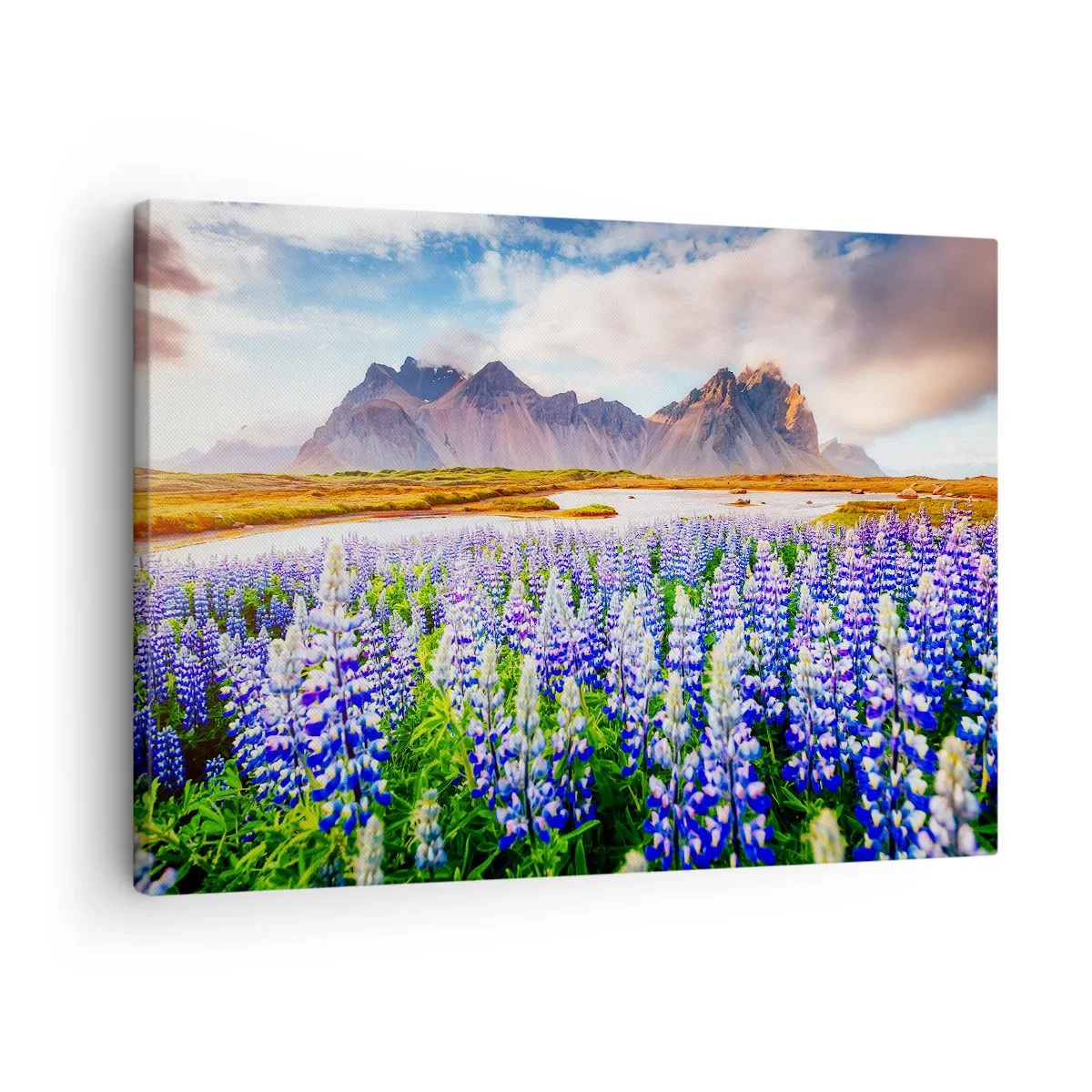 Cuadro sobre lienzo - Impresión de Imagen - Flores en un paisaje de montaña con un cielo pintoresco. - 70x50cm - La fuerza y la severidad junto a la dulzura - Decoración de pared moderna para salón y dormitorio ARTTOR
