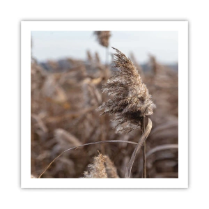 Póster - Es hora de volar con el viento - 60x60 cm