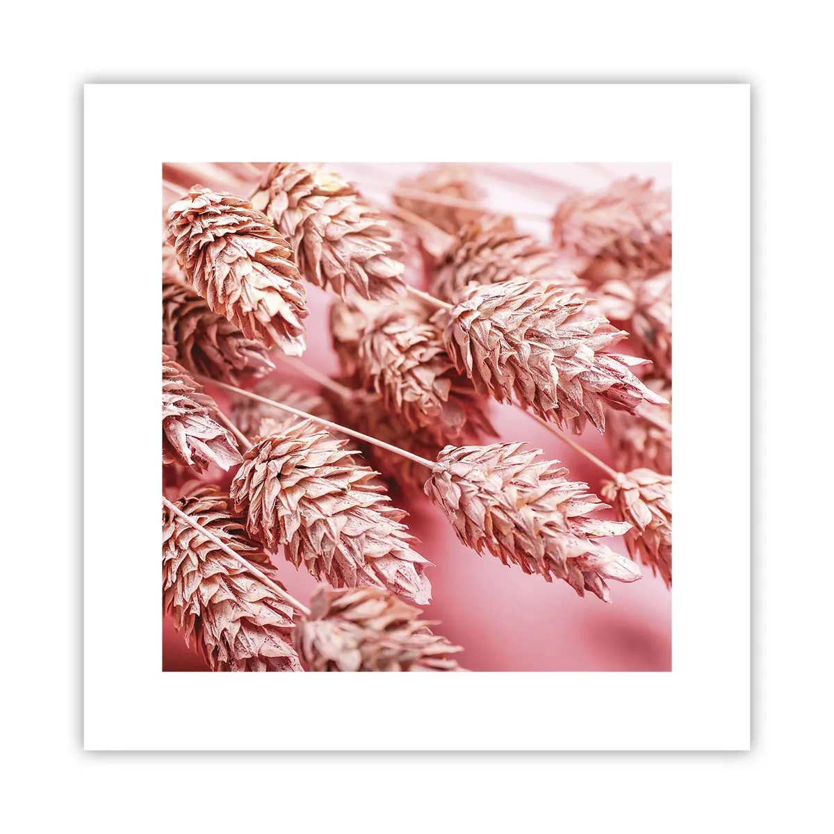 Póster - Estructura floral en rosa - 30x30 cm