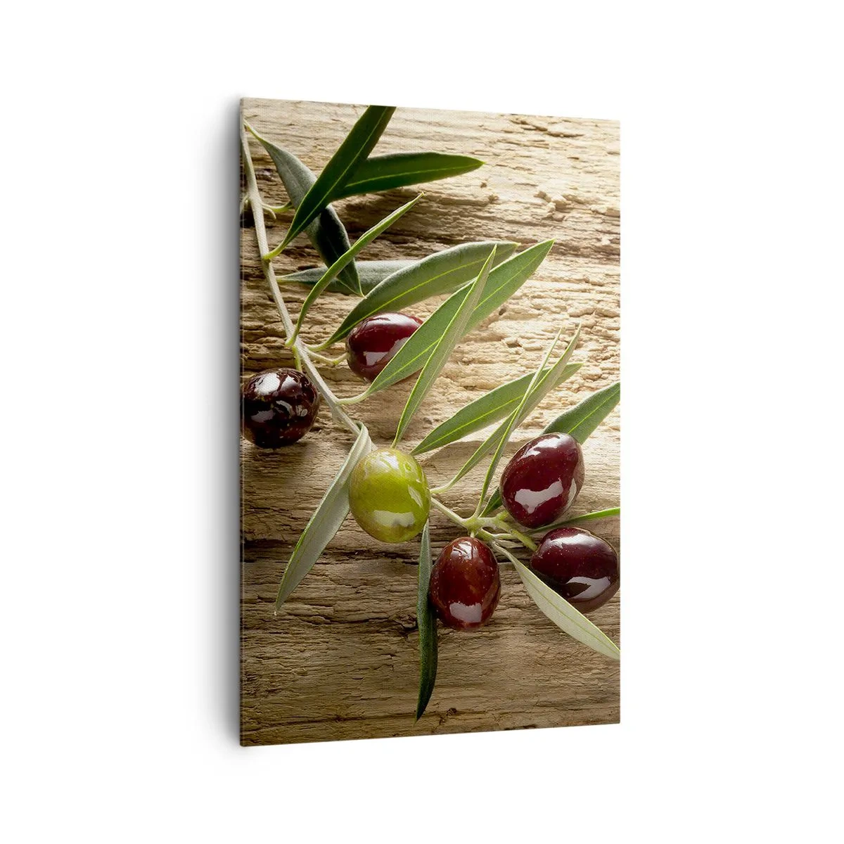 Cuadro sobre lienzo - Impresión de Imagen - Rama de olivo con fruta sobre un fondo de madera envejecida - 80x120cm - Directamente de la naturaleza - Decoración de pared moderna para salón y dormitorio ARTTOR