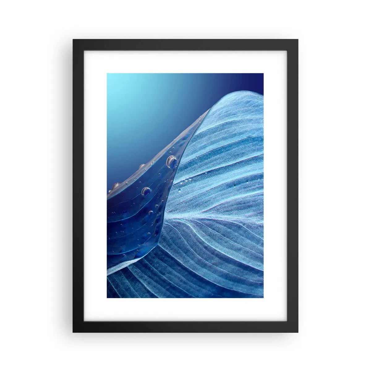 Póster en marco negro - Gotas ocultas de azul - 30x40 cm