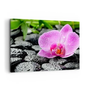 Cuadro sobre lienzo - Impresión de Imagen - Orquídea rosa sobre piedras negras mojadas con hojas verdes - 100x70cm - Como un corazón abierto - Decoración de pared moderna para salón y dormitorio ARTTOR