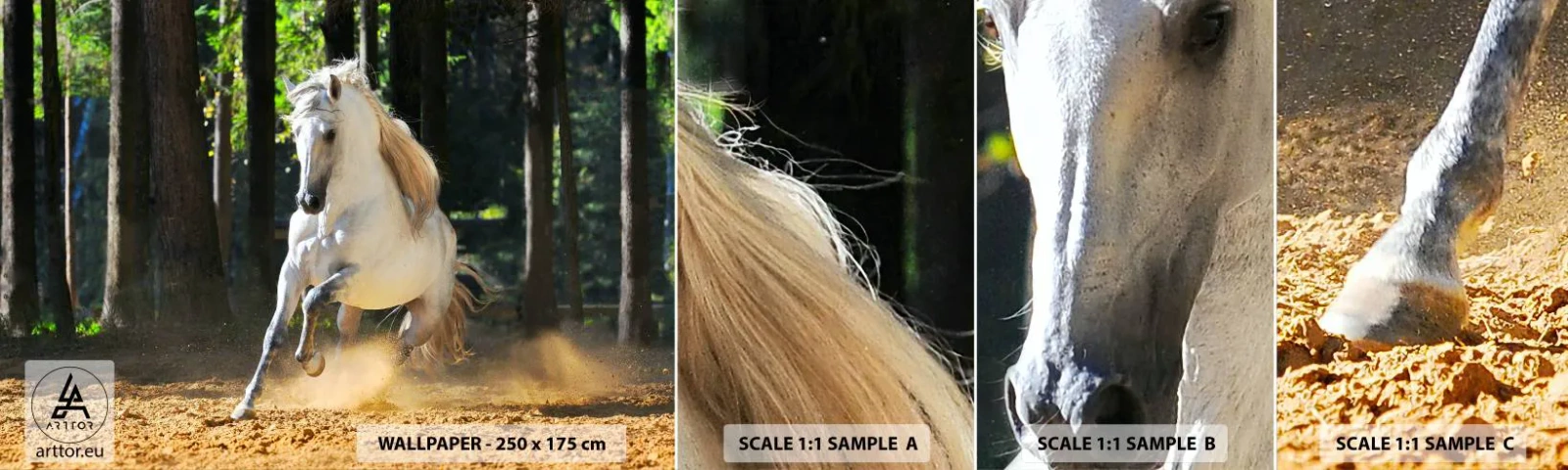Muestra de fotomural autoadhesivo Deluxe Sticker - Como en una novela de fantasía - animales, Caballo, Paisaje - 100x30 cm