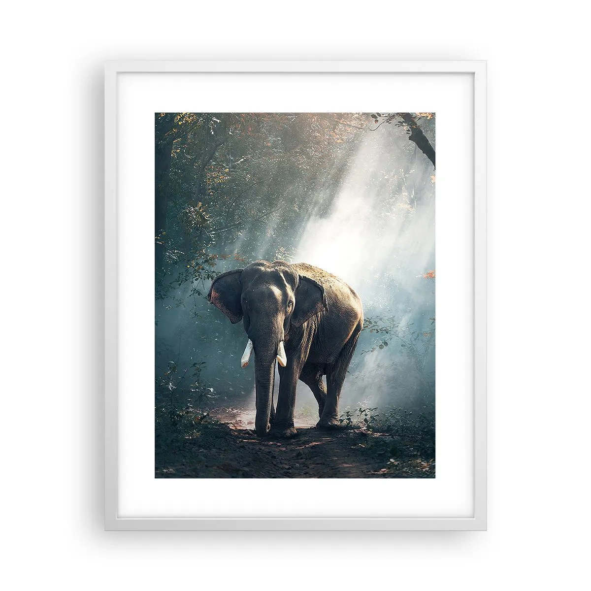 Póster en marco blanco - Un paseo tranquilo - 40x50 cm