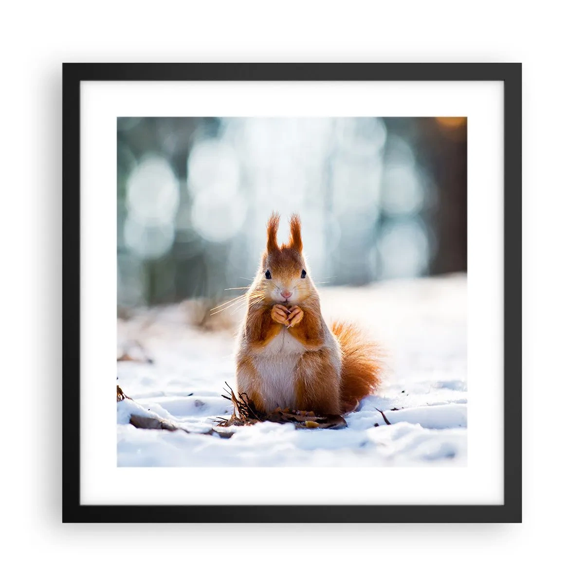 Póster en marco negro - ¿Qué estás mirando? - 40x40 cm