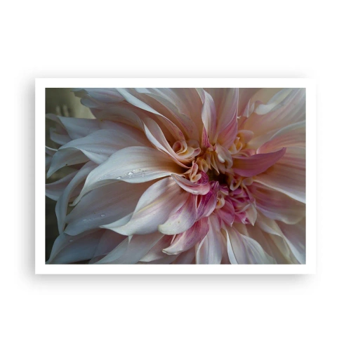 Póster - Primer plano de delicados pétalos de flores rosas con gotas de agua. - 100x70cm - Frescura floreciente - Decoración de pared moderna para salón y dormitorio ARTTOR