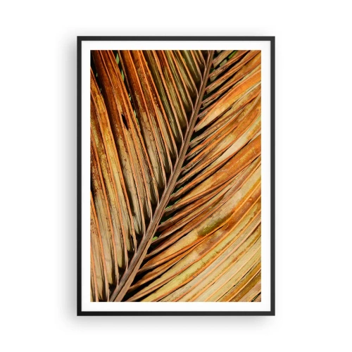 Póster en marco negro - Oro de coco - 70x100 cm