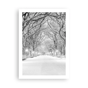 Póster - Una avenida invernal de árboles cubiertos de nieve en el parque. - 50x70cm - Cuatro estaciones - invierno - Decoración de pared moderna para salón y dormitorio ARTTOR
