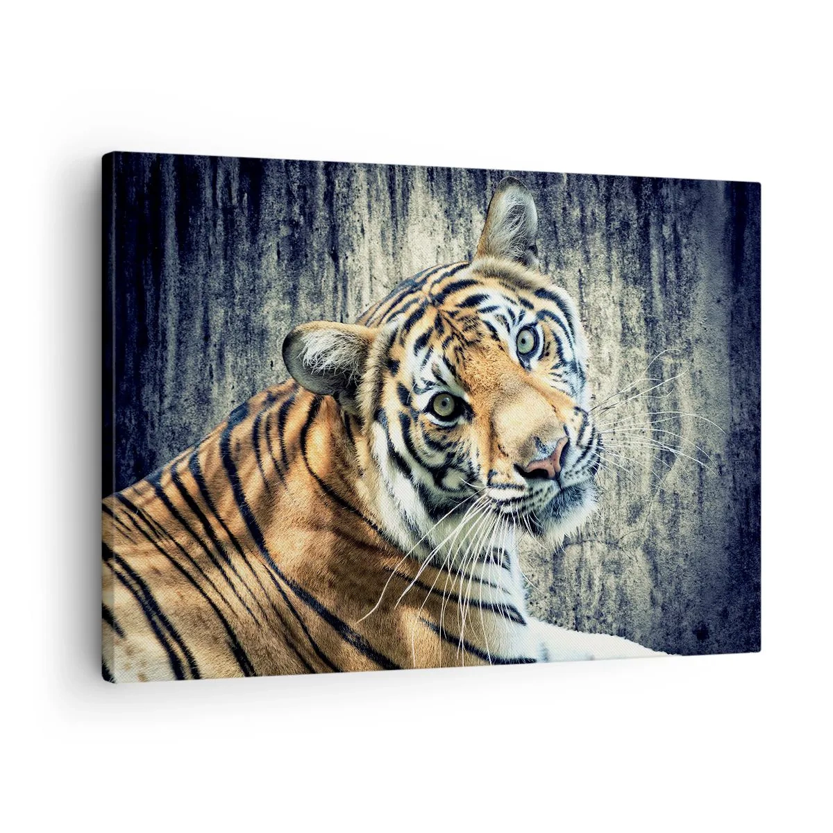 Cuadro sobre lienzo - Impresión de Imagen - Un tigre recostado contra una pared de textura rugosa. - 70x50cm - Retrato en corrientes de luz - Decoración de pared moderna para salón y dormitorio ARTTOR