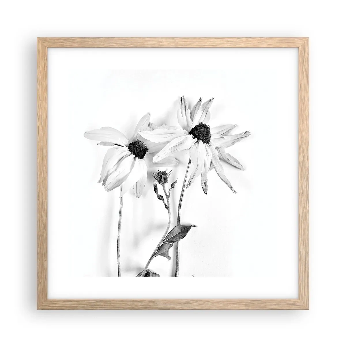 Póster en marco roble claro - Nadie quiere estar solo - 40x40 cm