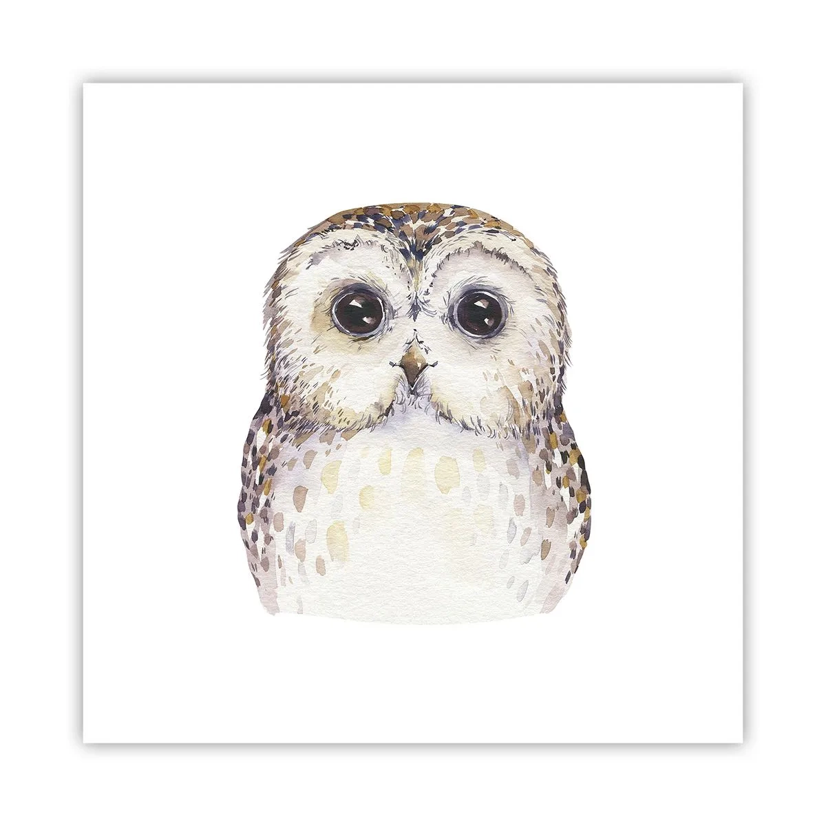 Póster - Mírame a los ojos - 40x40 cm