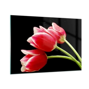 Cuadro sobre vidrio - Impresiones sobre Vidrio - Tulipanes rojos con gotas de rocío sobre un fondo negro - 100x70cm - Promesa de amor puro - Decoración de pared moderna para salón y dormitorio ARTTOR