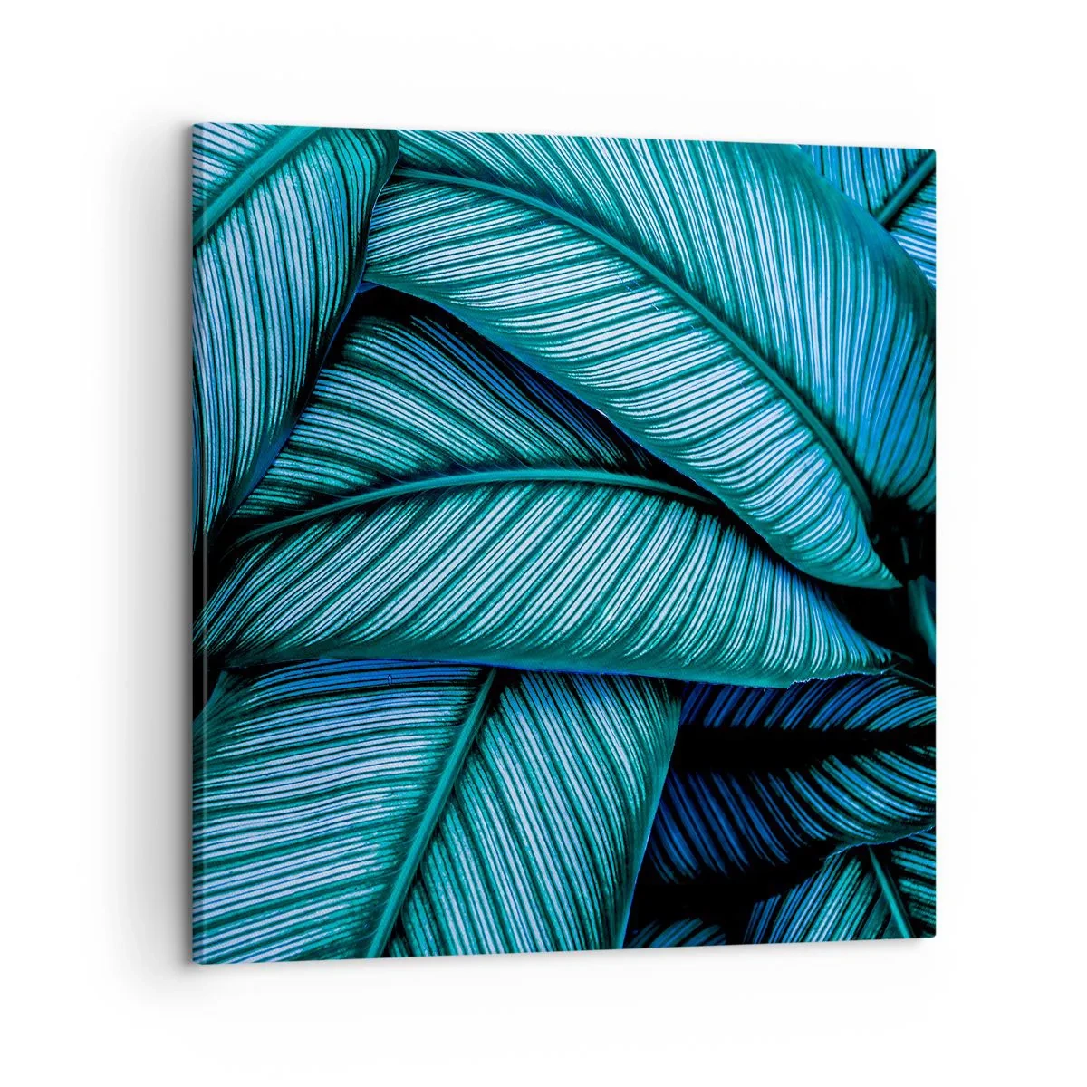 Cuadro sobre lienzo - Impresión de Imagen - Líneas de vida - 60x60 cm