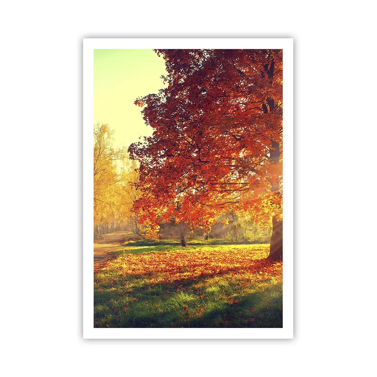 Póster - El rojo es hermoso - 70x100 cm