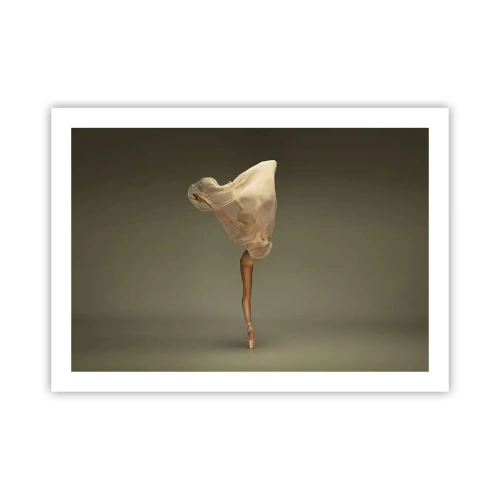 Póster - A punto de volar - 70x50 cm