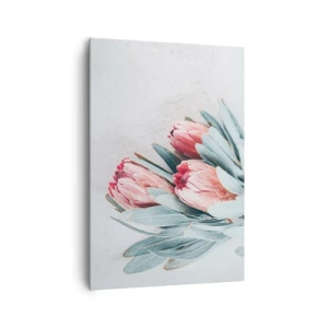 Cuadro sobre lienzo - Impresión de Imagen - Sutiles flores de protea rosa sobre un fondo claro. - 70x100cm - Avergonzada de su propia belleza - Decoración de pared moderna para salón y dormitorio ARTTOR
