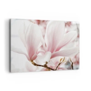 Cuadro sobre lienzo - Impresión de Imagen - Delicadas flores de magnolia en tonos pastel. - 100x70cm - Inmensidad de la ternura - Decoración de pared moderna para salón y dormitorio ARTTOR