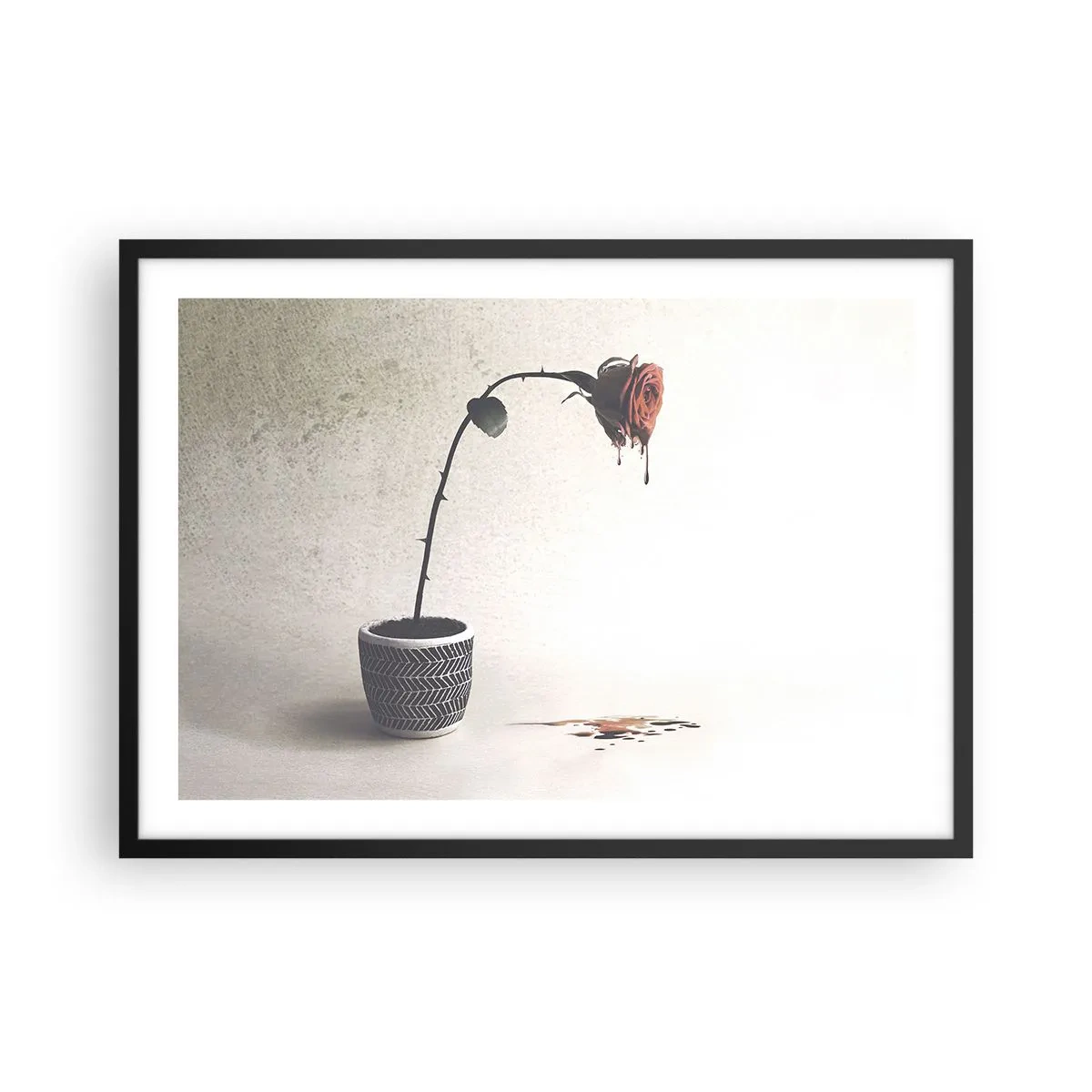 Póster en marco negro - Una rosa roja en una maceta con gotas de tinte sobre un fondo blanco. - 70x50cm - Rosa dolorosa - Decoración de pared moderna para salón y dormitorio ARTTOR