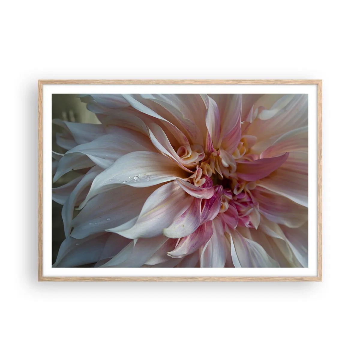 Póster en marco roble claro - Frescura floreciente - 100x70 cm