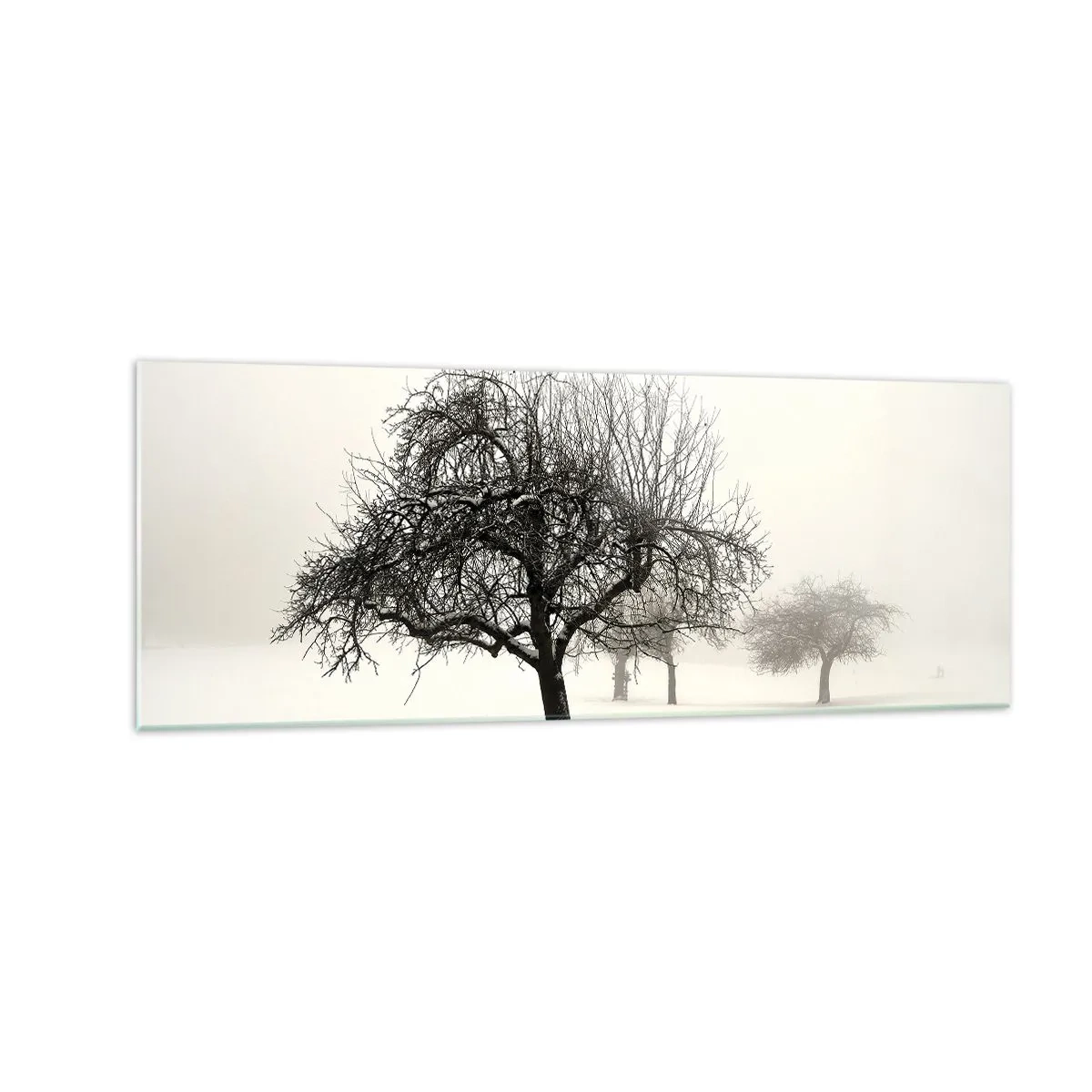 Cuadro sobre vidrio - Impresiones sobre Vidrio - Árboles en un campo cubierto de nieve rodeado de niebla. - 140x50cm - Sueño de invierno - Decoración de pared moderna para salón y dormitorio ARTTOR