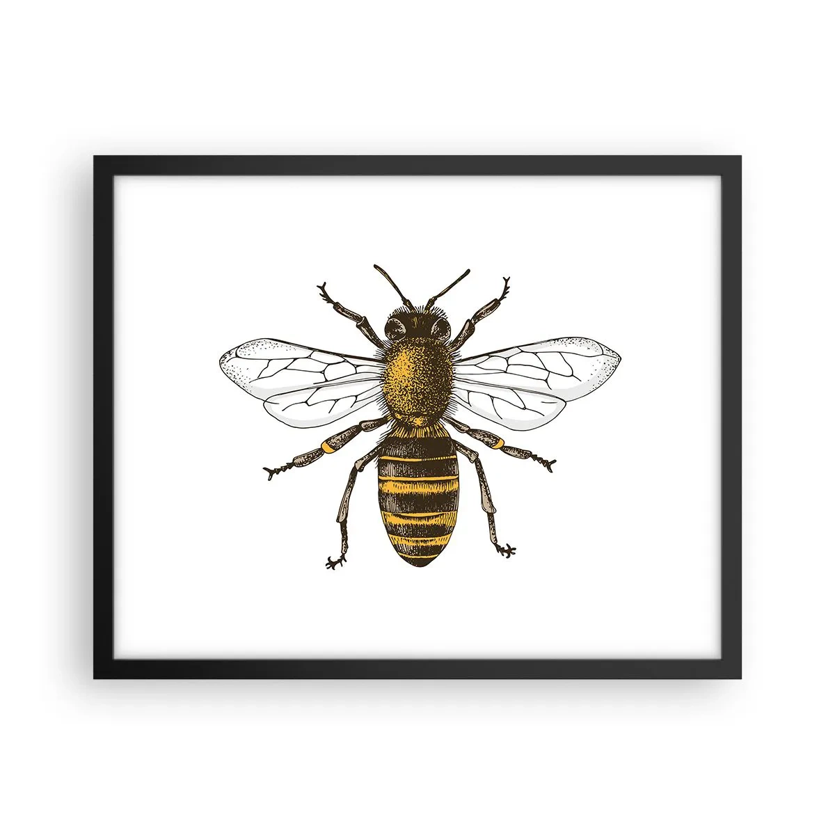 Póster en marco negro - Bondad natural - 50x40 cm